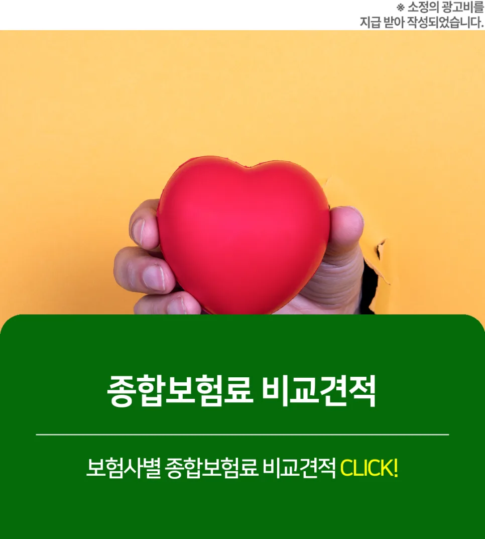 2026년 종합보험 추천: 2030 위한 가성비 설계 가이드 2