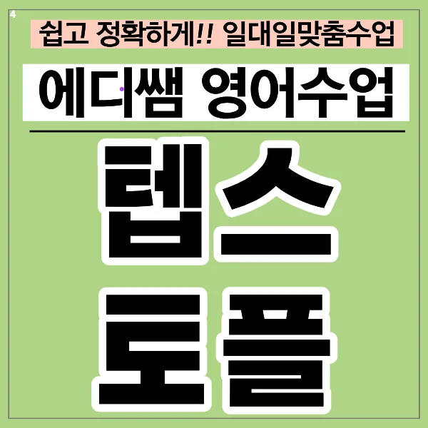 영등포 텝스/오픽 과외: 서울대 대학원 영어 회화 2026년 준비