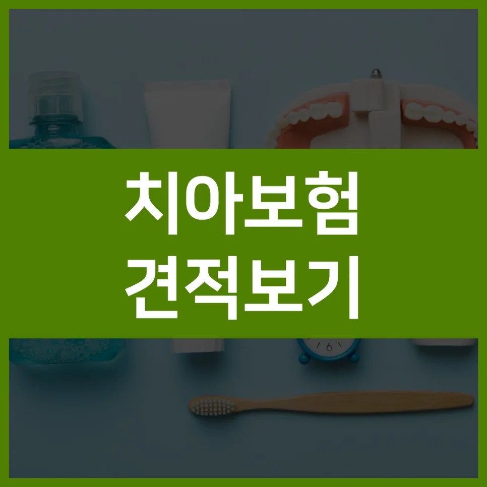 치과보험료 비교 2026: 보장 범위와 실제 청구 경험 기반 추천