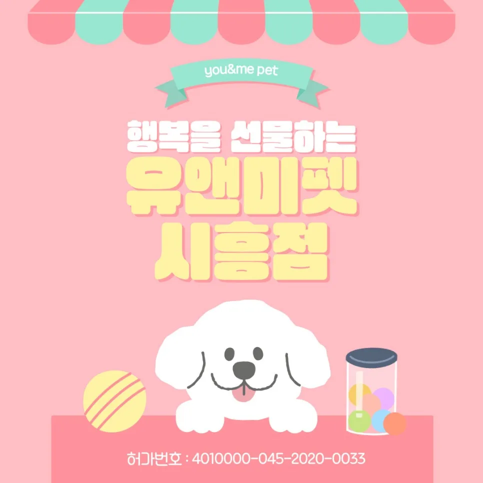 시흥 페르시안 고양이 분양 2026: 건강한 아이 찾는 3가지 핵심 조건