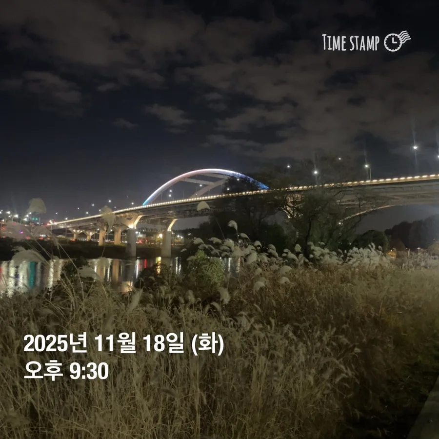 스위치온 다이어트 12일차: 러닝 초보의 현실적인 기록 2026 2