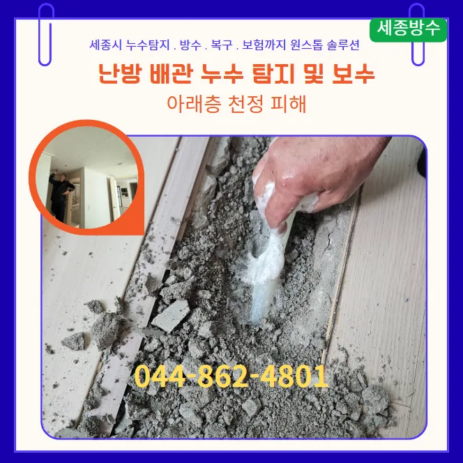아랫집 안방 천정 누수 원인과 해결책 2026년 총정리 — 비즈니스·경제 — fobking