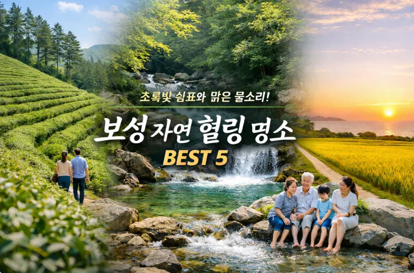 보성 힐링 여행 명소 BEST 5: 초록빛 자연 속 힐링 코스 2026 — 한국여행 — i0865
