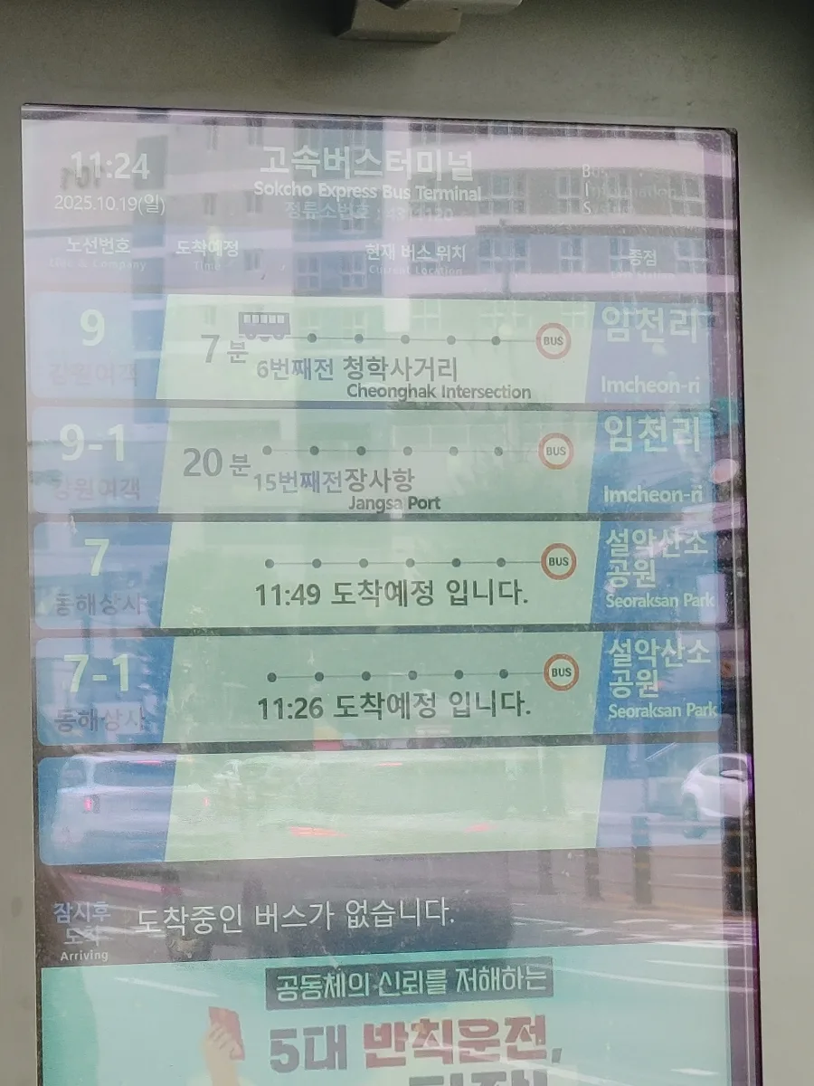 설악산 소공원 단풍 명소 2026: 비 온 뒤 맑은 날, 신흥사 산책 코스 3