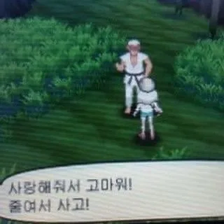 일상 속 소소한 행복 2026: 겨울 추억 & 새해 다짐 총정리