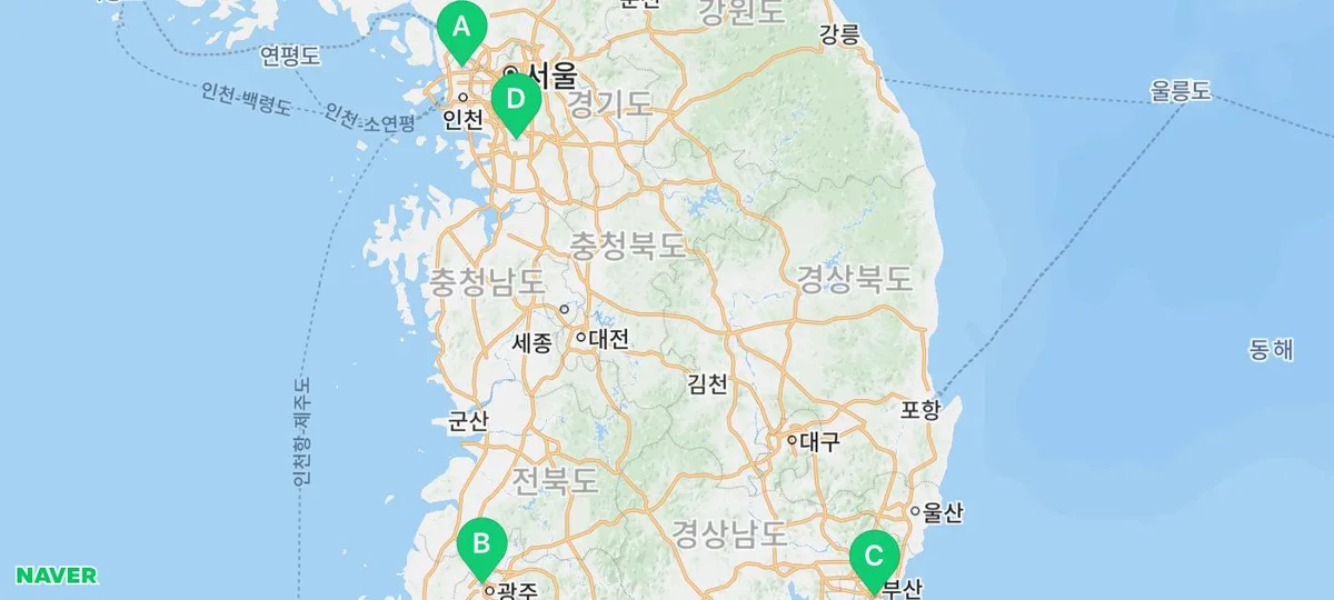 스코티시폴드 고양이 특징, 장단점 완벽 분석 2026 — 반려동물 — yakooroo