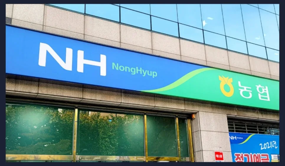 농협 연 5% 특판 적금, 12개월 만기 목돈 만들기 전략 2026 3