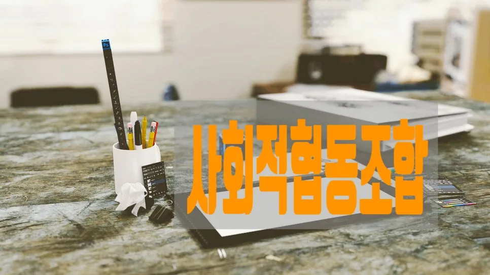 사회적협동조합 설립 절차와 사업계획서 작성법 (2026년 최신 가이드) 3