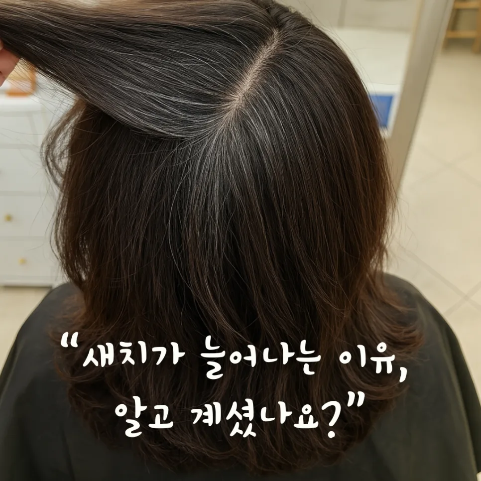 새치 줄이는 방법 2026: 스트레스, 식습관, 두피 관리 총정리 — 건강·의학 — honeyissue