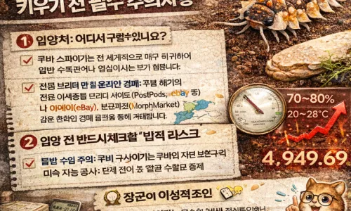 영화 '왕과 사는 남자' 실화? 단종 엄흥도 관계 2026년 분석 3