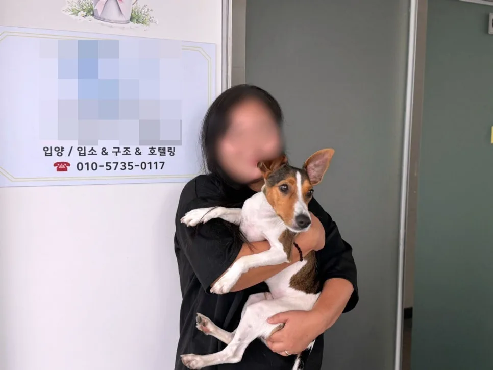 강아지 안락사 대안 찾기: 비용보다 중요한 선택지 2026