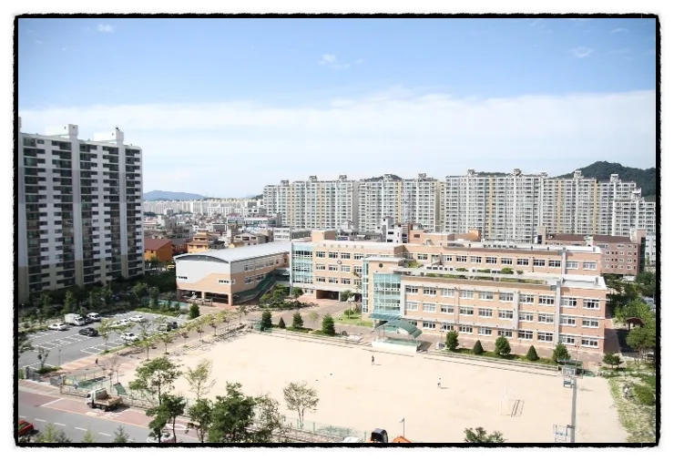 초등교육, 미래 직업 준비 위한 핵심 역량 5가지 2026 — 교육·학문 — moook11