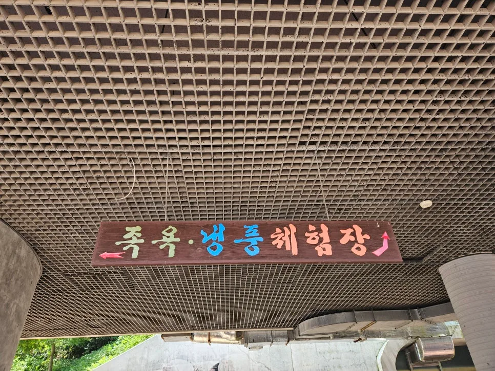 보령 냉풍욕장 2026: 무료 족욕 체험 및 주의사항 총정리 2