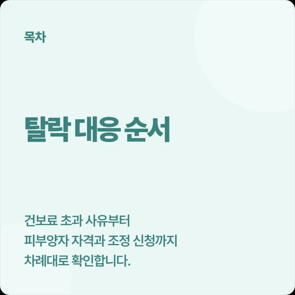 청년미래적금 건강보험료 기준 초과 시 대처법 2026 2