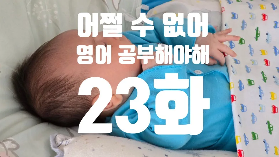 매일 영어 단어 5개로 습관 만들기 2026: E로 시작하는 동기부여 3