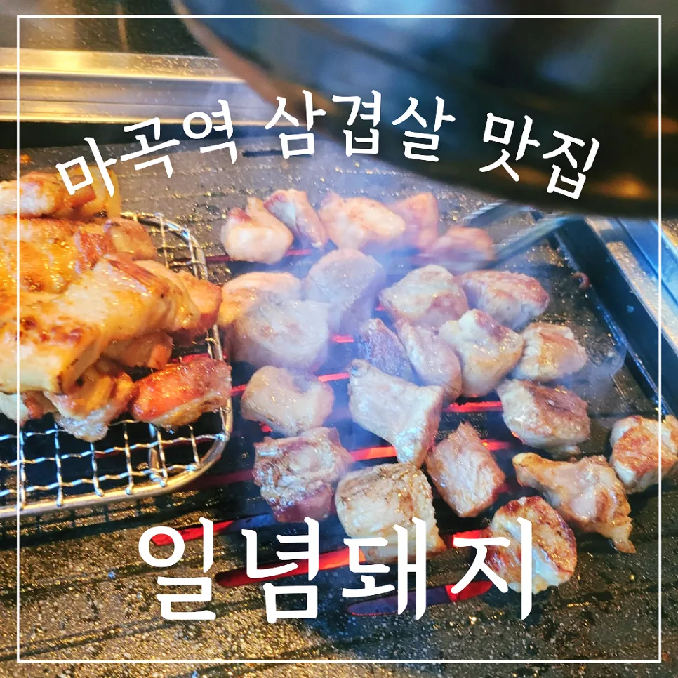 마곡역 고기 맛집 2026: 일념돼지 솔직 방문 후기 및 추천 — K-푸드·맛집 — honeyissue