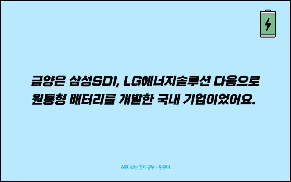 금양 상장폐지 위기 2026: 2차전지 광풍 속 몰락 원인 분석 3