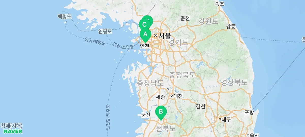 광주 고양이 분양 2026: 입양 경험자가 전하는 필수 체크리스트 — 반려동물 — yakooroo