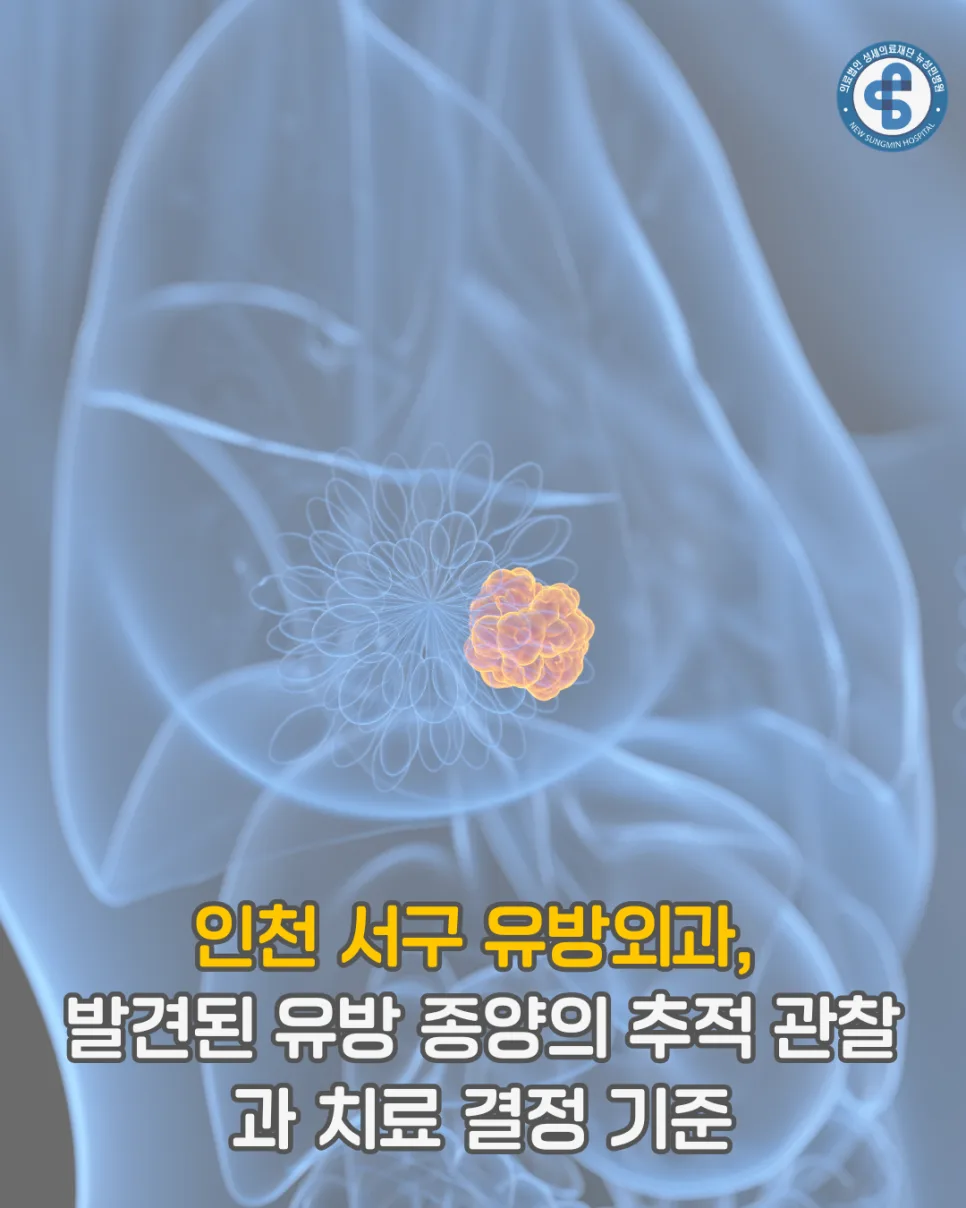 유방 종양 추적 관찰 vs 맘모톰 시술 2026년 최신 가이드