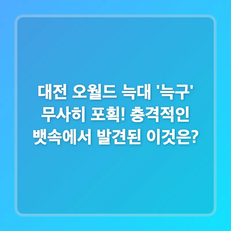 대전 오월드 늑대 '늑구' 탈출 후 뱃속 낚싯바늘 발견, 그 진실은? 2026 — 반려동물 — eloger