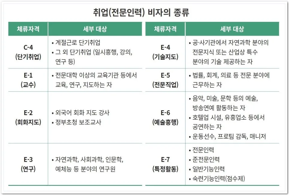 E-6비자 발급 절차 완벽 가이드 2026: 예술가, 방송인 필수 정보 2