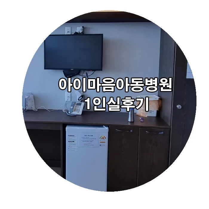 울산 아동 폐렴 입원 1인실 후기: 아이마음 병원 2026년 정보