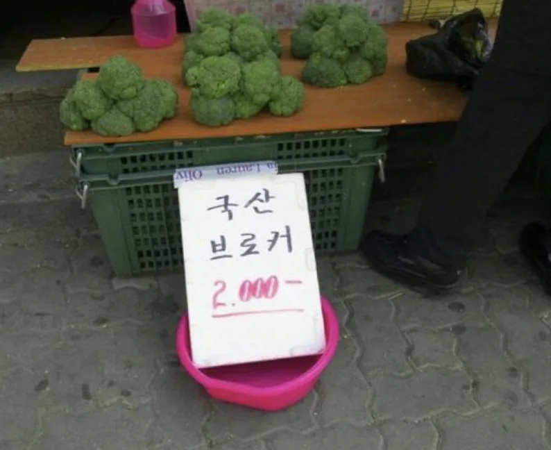 개인 임대사업자 종합소득세 신고 가이드 2026: 비용 인정 항목 총정리 — 비즈니스·경제 — mamazlens 1