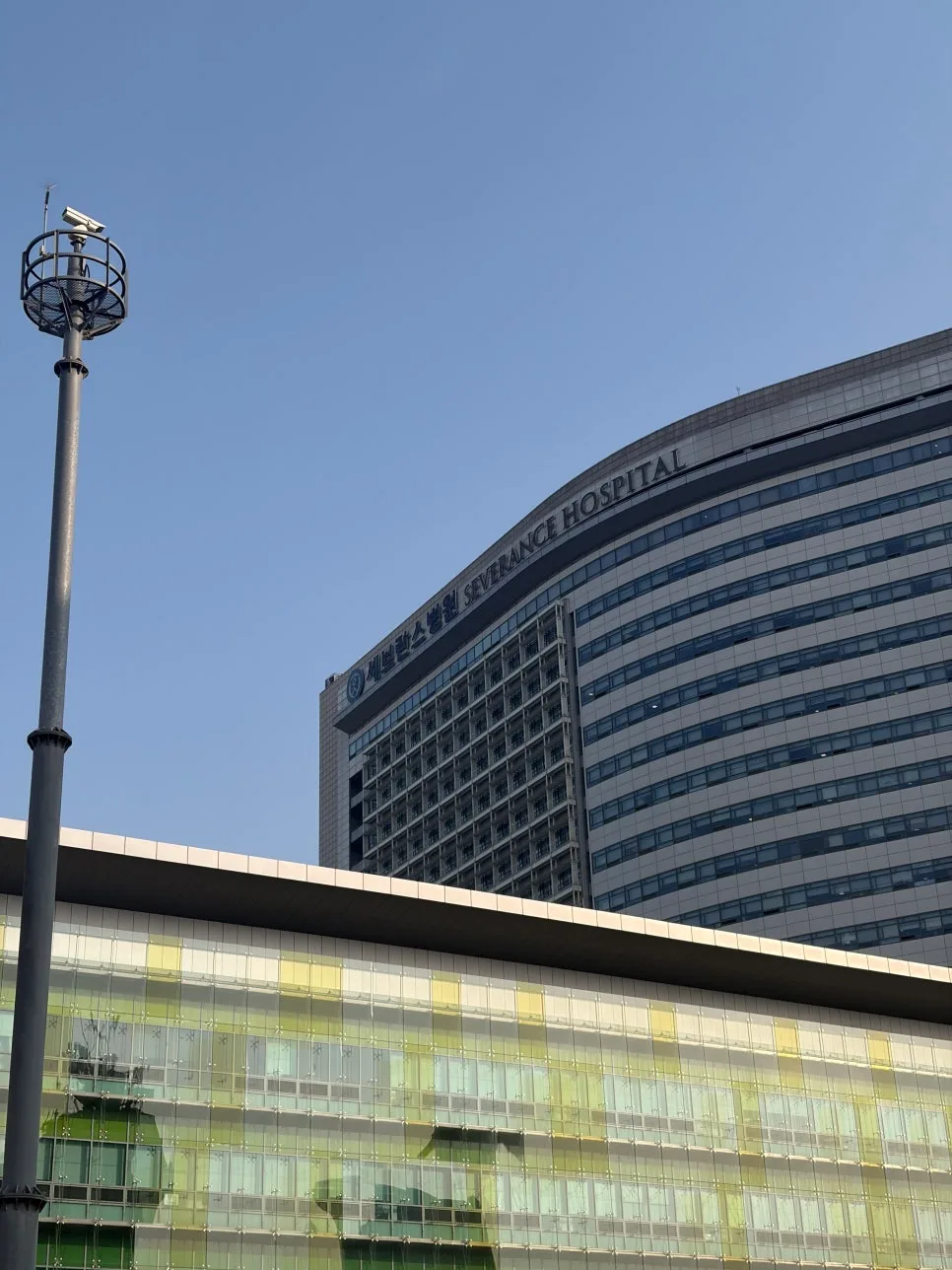 척수공동증 크기 변화 없는데 증상 심화? 연대 세브란스 진료 후기 2026 2