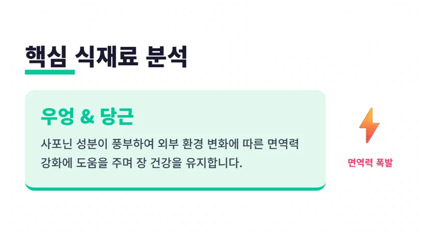어린이집 소풍 도시락, 실패 없는 메뉴와 준비물 2026년 총정리 2