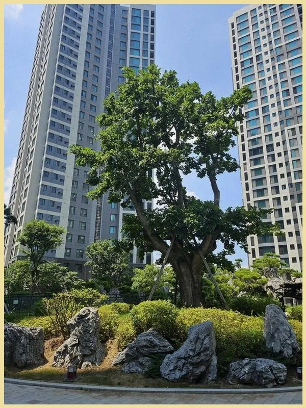2026년 부동산 시장 전망: 송파 신축 아파트 가치 분석 2
