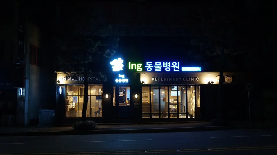 부산 해운대 강아지 건강검진, 아이앤지동물병원 경험 후기 2026