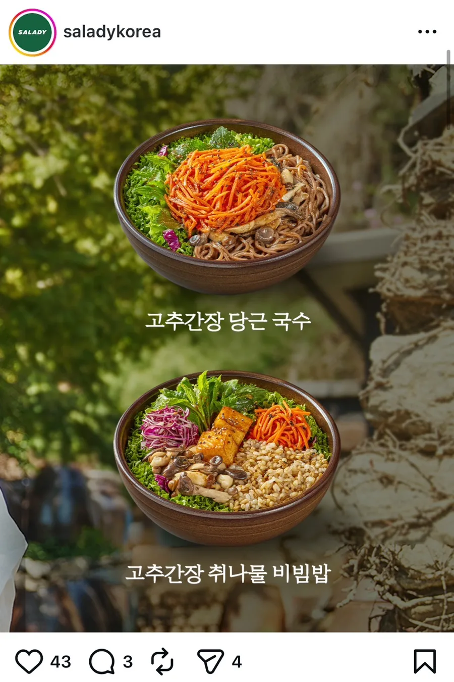 샐러디 선재스님 콜라보 2026: 당근 국수 & 비빔밥 후기 — K-푸드·맛집 — yongnaming