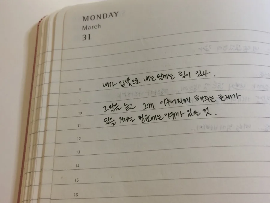열정으로 빛나는 사람들: 성공 비결 2026년 총정리 2