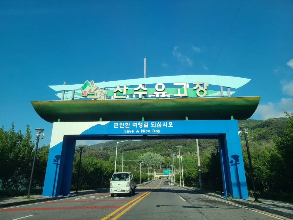 지리산 노고단 예약 완벽 가이드 2026: 주차부터 진달래 명소까지 — 한국여행 — kkkmg7765