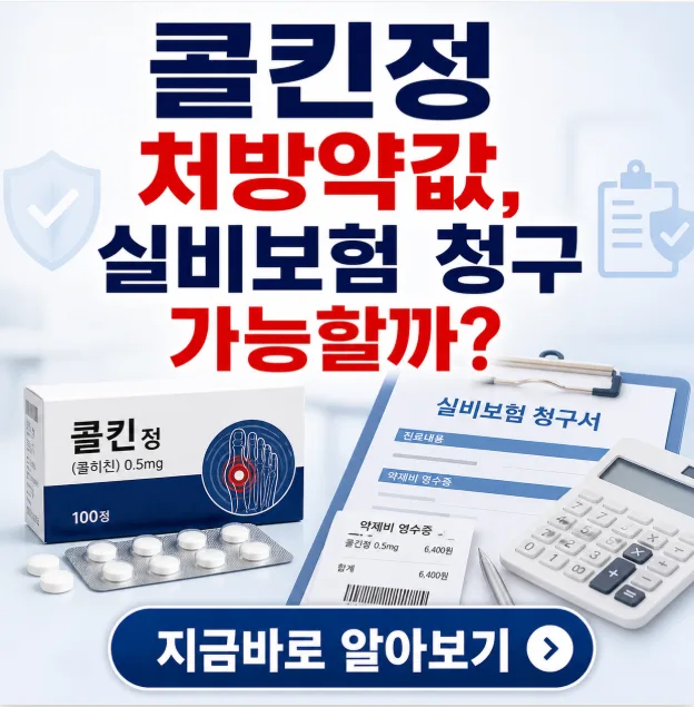 콜킨정 실비 보험 청구, 2026년 기준 총정리 (약값 환급) 2