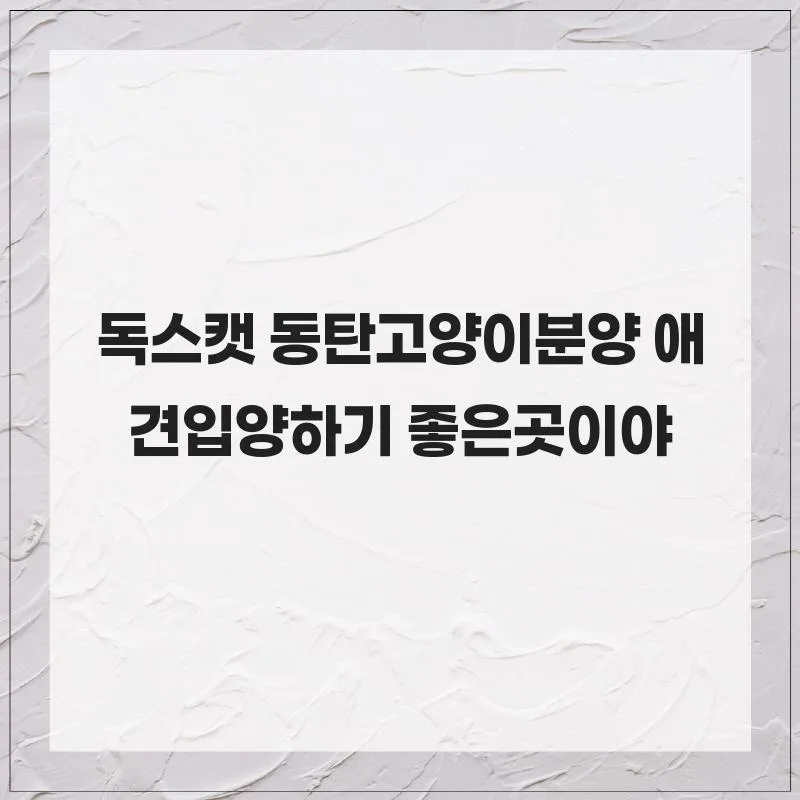 동탄 고양이 분양 2026: 독스캣 안심 입양 센터 후기
