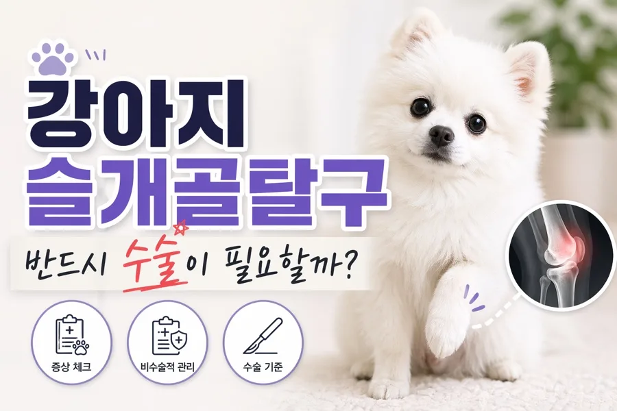 강아지 슬개골탈구 수술, 꼭 필요할까? 2026년 최신 가이드