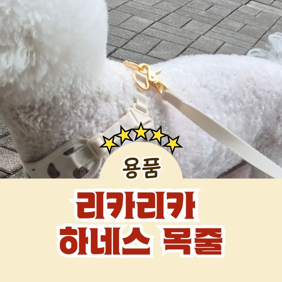 강아지 하네스 제대로 고르는 법: 리카리카 비교 분석 2026 — 반려동물 — designerhsb