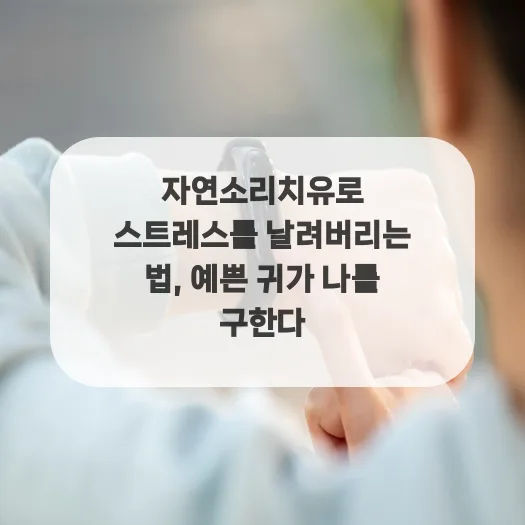 자연의 소리로 스트레스 해소하는 법 2026: 과학적 원리와 실천 가이드