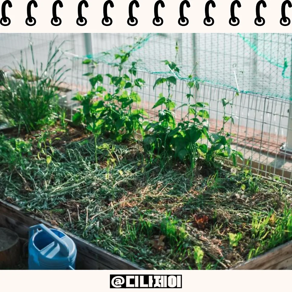 2026년 유기농업기사, 취업까지 고려해야 하는 이유 5가지 2