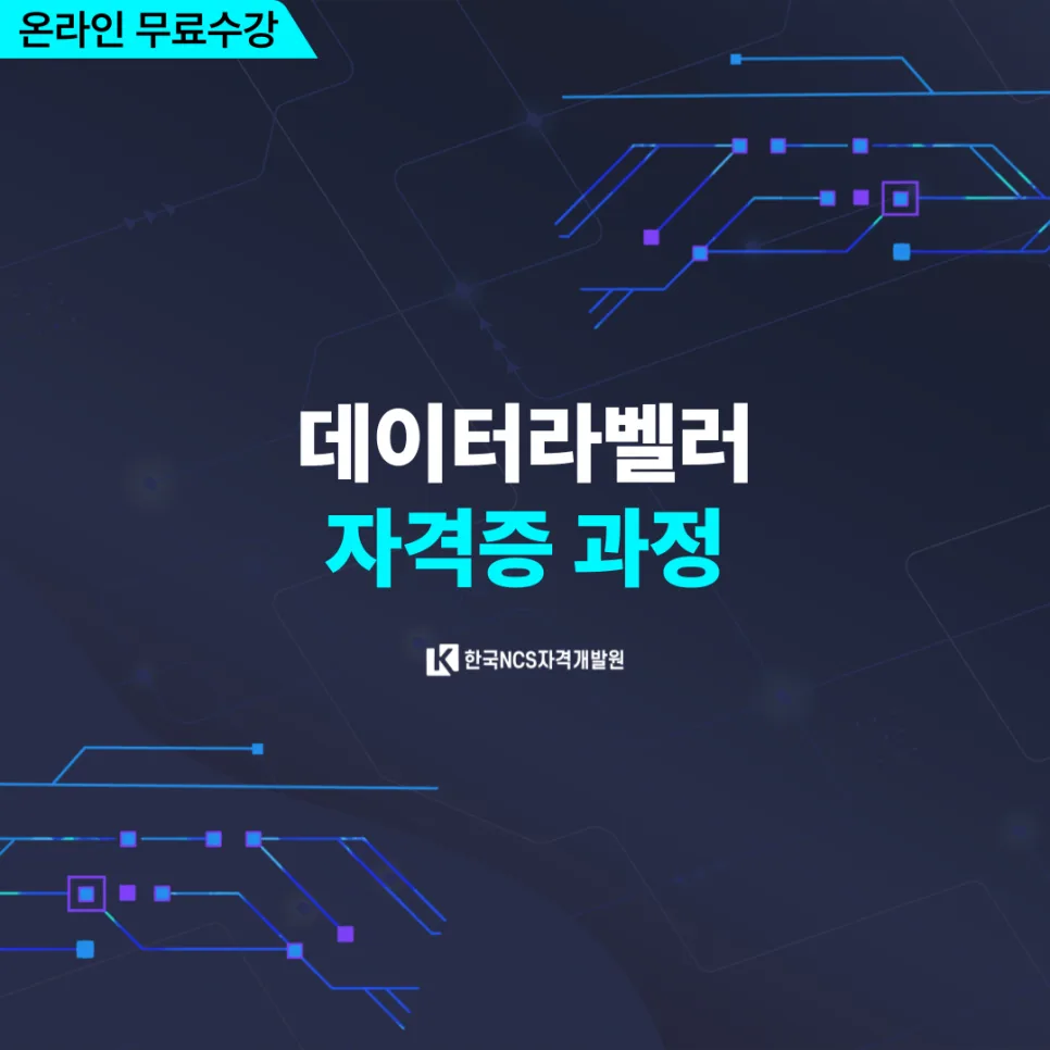 데이터라벨러 자격증 취득 방법 2026: AI 시대 필수 전문가 되기 2