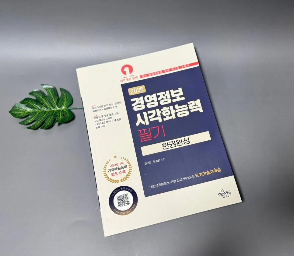 경영정보시각화능력 2025 필기 합격 전략: 핵심 요약 및 기출 분석 3