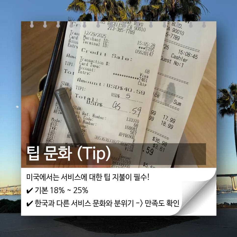 미국 유학생이 겪은 한국과 다른 문화 충격 5가지 2026 2