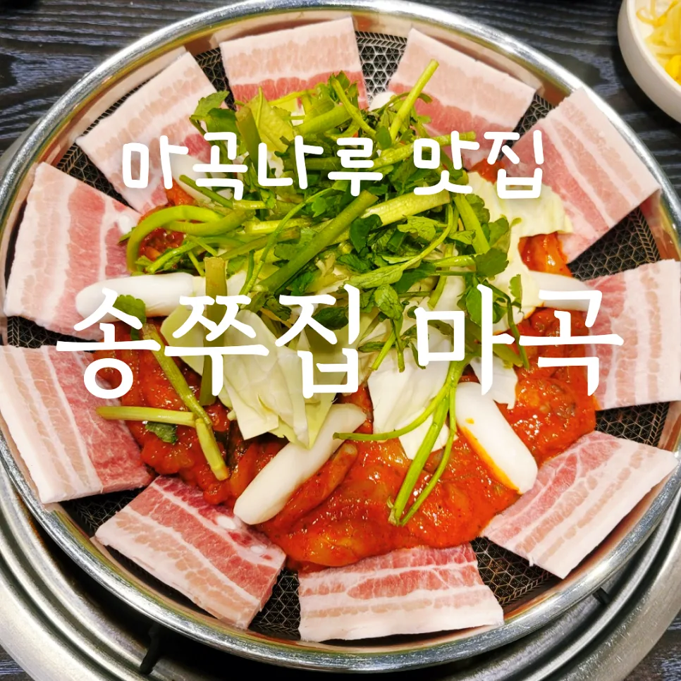 마곡나루 쭈꾸미 맛집 2026: 송쭈집 솔직 후기 및 추천 이유 — K-푸드·맛집 — honeyissue