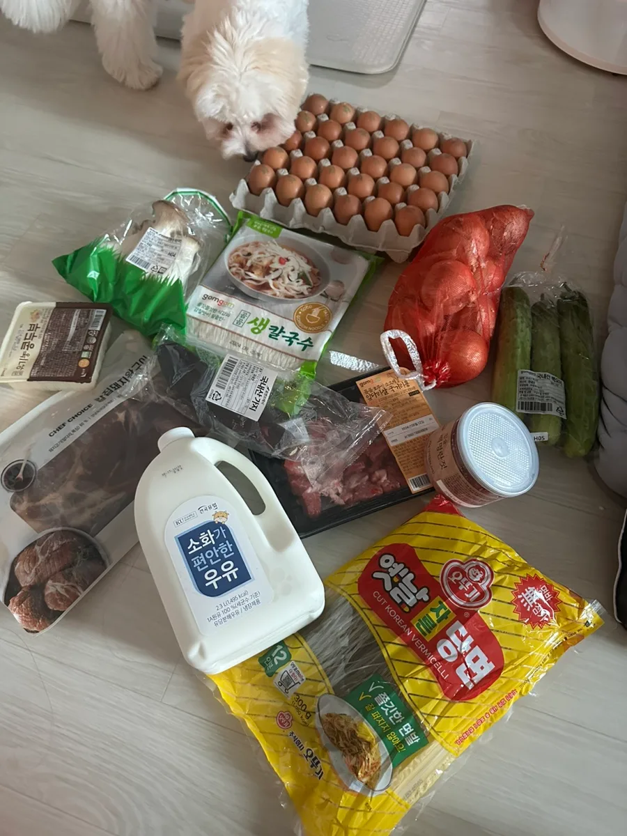 출근 일주일차 근황: 병원 일상 & 반려견 땡초 육아 2026