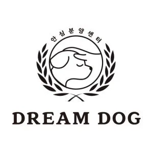 2026년 인천 말티숑 분양: 드림독에서 만나는 반려견 정보 — 반려동물 — incheondreamdog