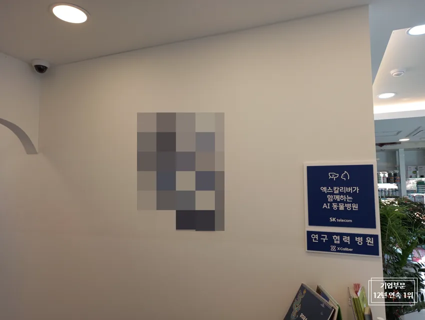 타 통신사도 OK! 레코드온 전화 녹음, 동물병원 설치 후기 2026 3
