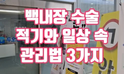 백내장 수술 비용 2026: 단초점 vs 다초점 렌즈 실비보험 청구 완벽 비교 2