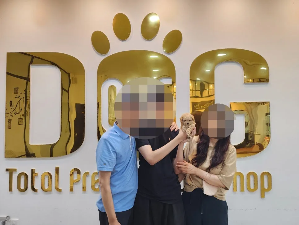 세종시 강아지 분양 2026: 믿음직한 곳 찾는 3가지 기준 3