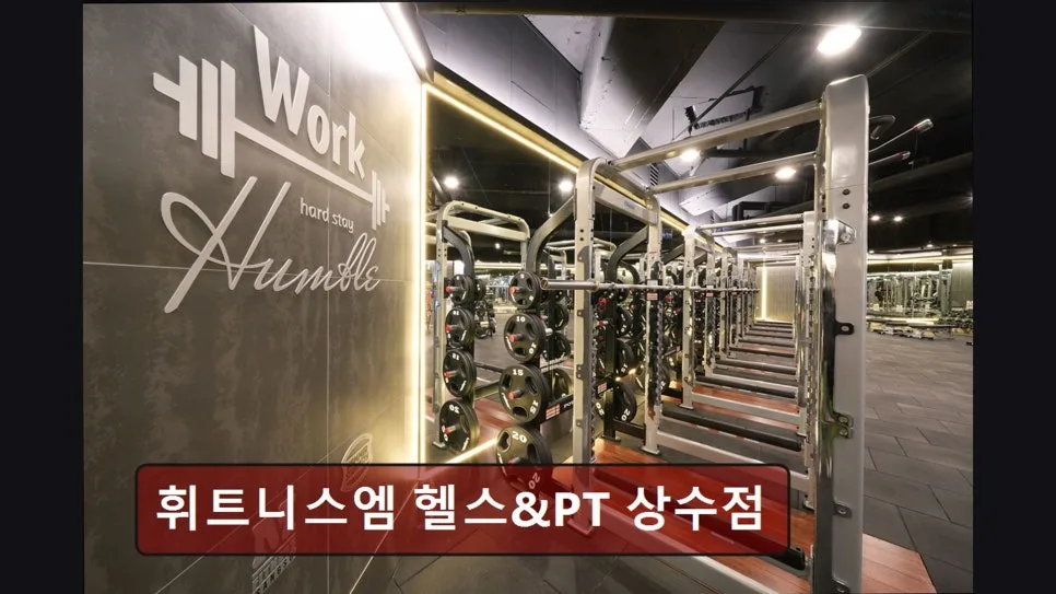 홍대 헬스장 휘트니스엠 상수점: PT, 시설, 가격 완벽 분석 (2026) — 스포츠 — yacle70